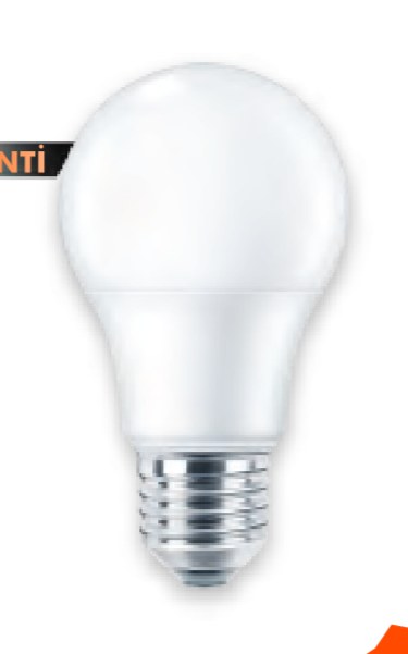 Kendal LED Ampuller